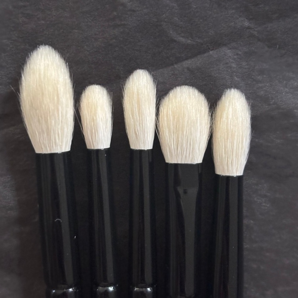 WAYNE GOSS - The Eye Set - Brushes 16 - 20 NWOB - Picture 4 of 7